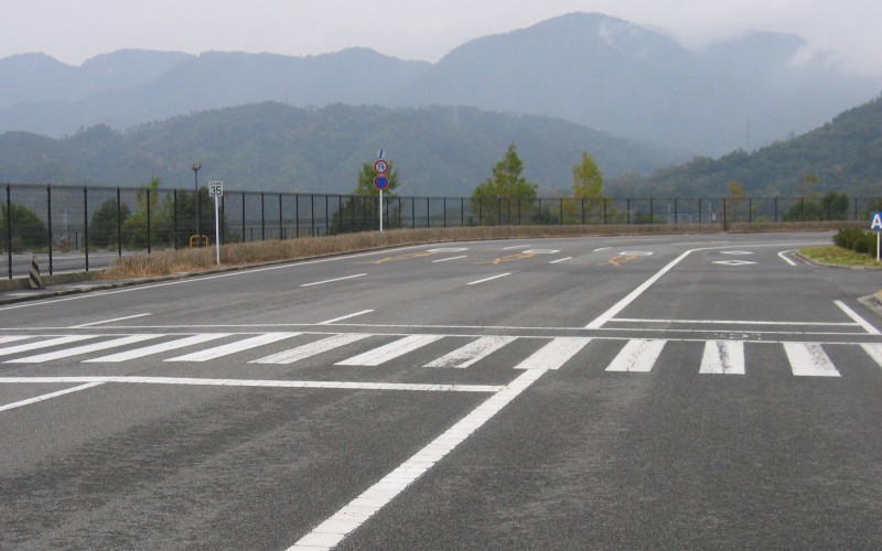 横断歩道に渡ろうとしている人がいる場合は一時停止 守っている人は約1割 車の大辞典cacaca